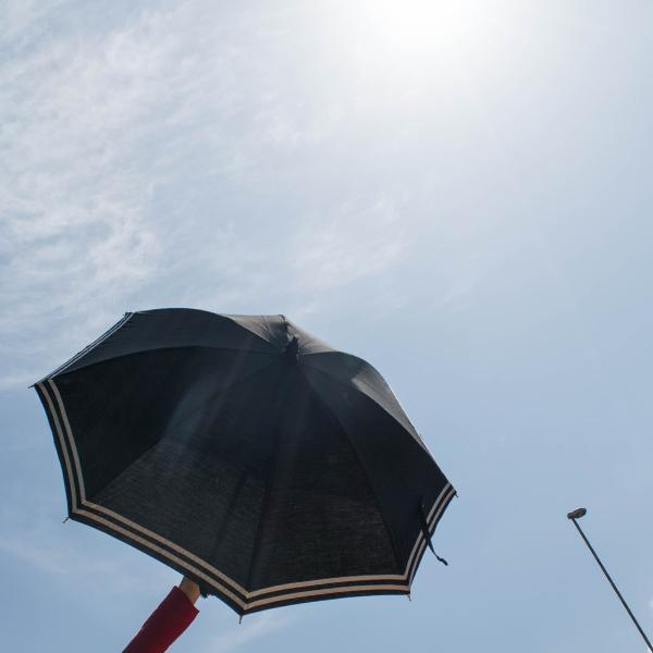 Anna Sailor 47cm-UMBRELLA-kiwandakiwanda-kiwandakiwanda