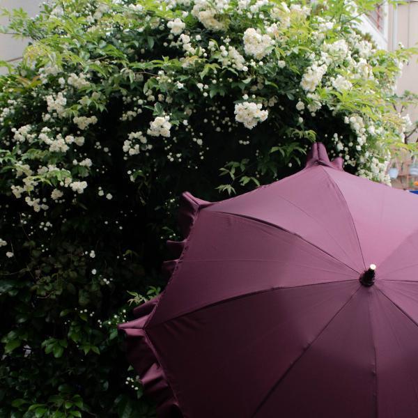 B.B. 47cm-UMBRELLA-kiwandakiwanda-kiwandakiwanda