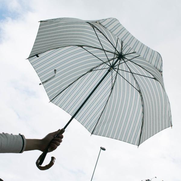 Charlie Rococo 60cm-UMBRELLA-kiwandakiwanda-kiwandakiwanda