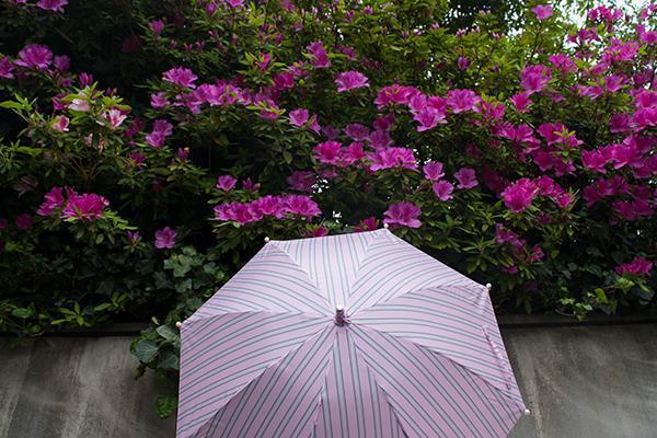 Marilyn Rococo 47cm-UMBRELLA-kiwandakiwanda-kiwandakiwanda